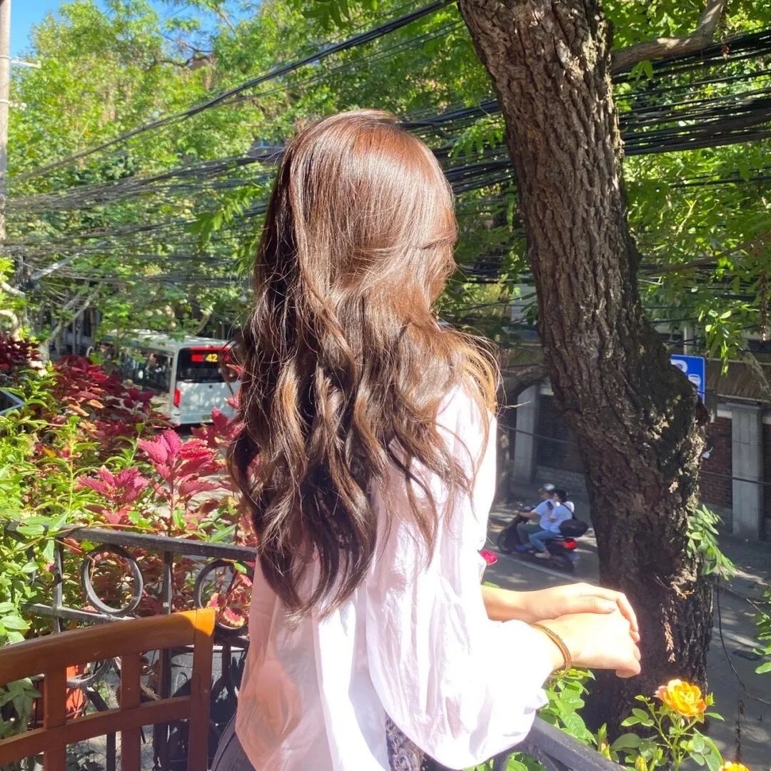 别惹猫咪：追捕虐猫者